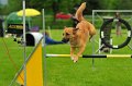 2013-05-19 um 11-13-04 (1)